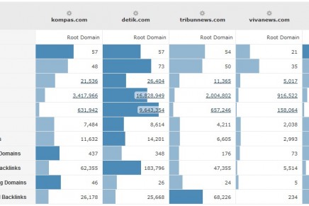 Popularitas Media Online Nasional